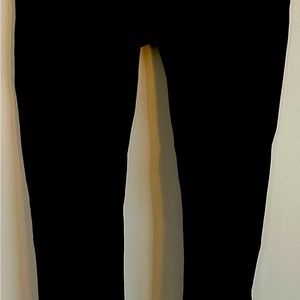 Fabletics Black Leggings